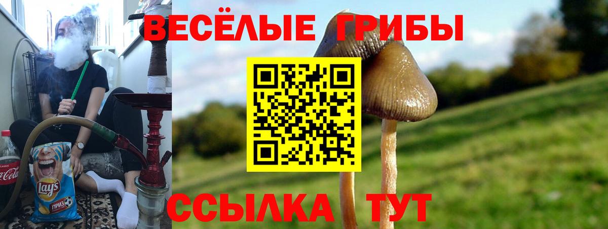 Псилоцибиновые грибы GOLDEN TEACHER  Вход с VPN  где найти наркотики  Тулун 